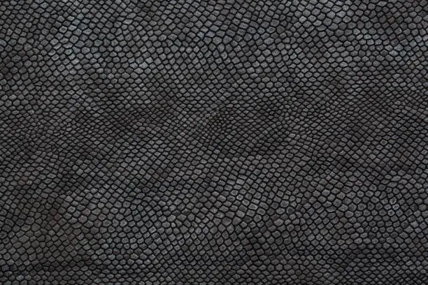 Photo of black snake skin texture for background