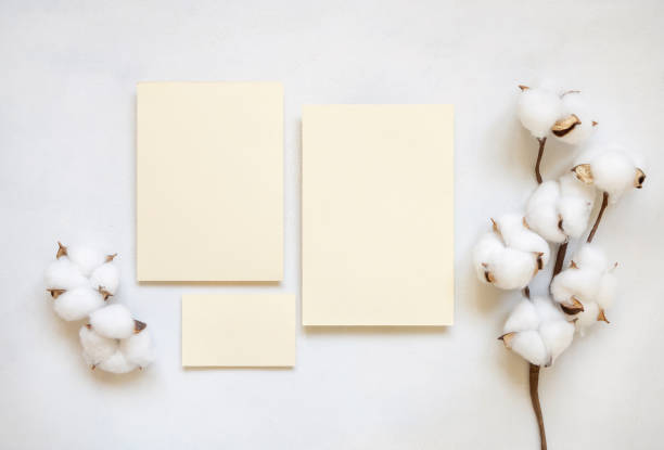 istock Blank cards with cotton flowers top view on white, wedding mockup 1470517025