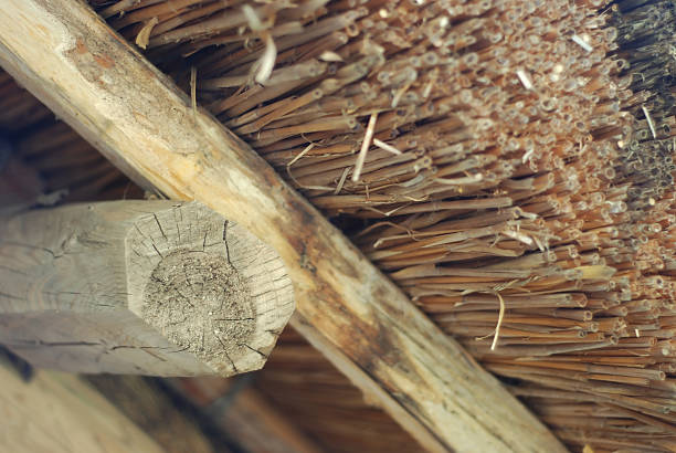 Roof of the old rural house in Ukraine the East Europe a material-straw wooden crossbeams and beams of the beginning of the twentieth century