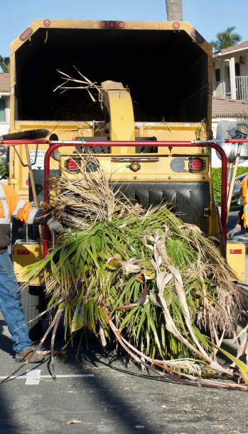 istock Landscape crew feeding trimmings into the chipper 1470518673