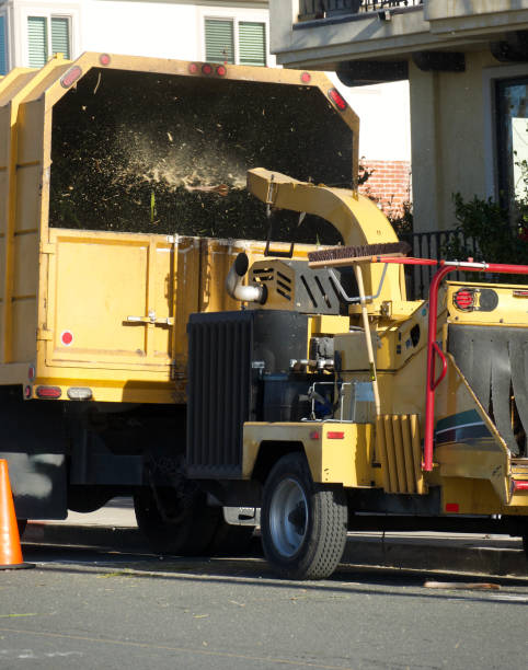 istock Landscape crew feeding trimmings into the chipper 1470518698