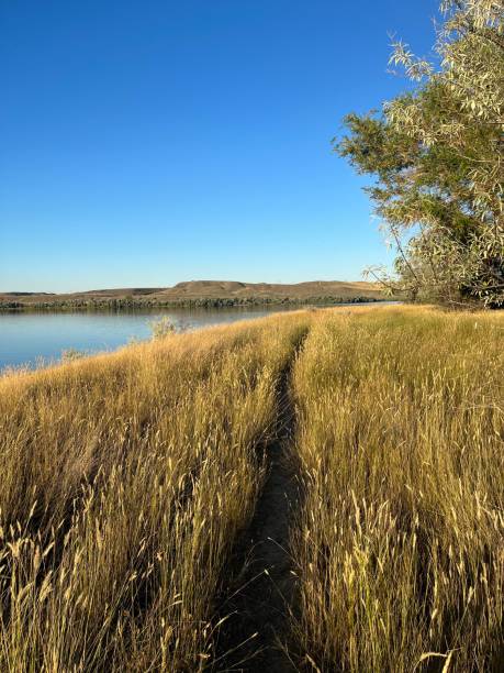 Montana landscape in eastern Montana
