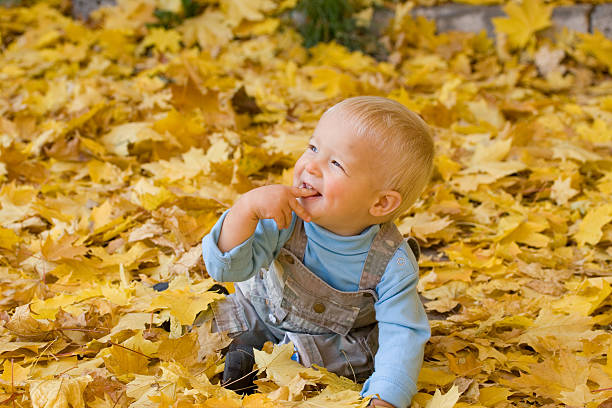 istock Smiling kid in autumn leaves 147052078