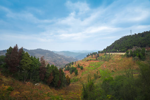 In the mountains in the morning