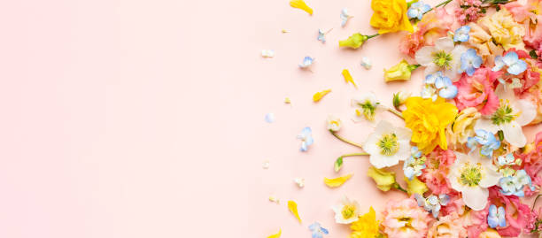 istock Spring Flowers composition on pastel pink background. Floral concept for Easter, Woman's day or Valentine's day. 1470522836