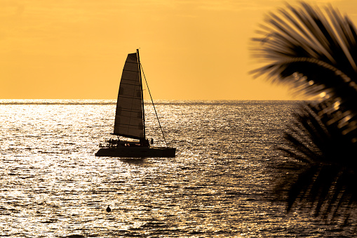 sailing sunset with a catamaran sainling yacht. silhouette style and moving palm trees. indian ocean islands.