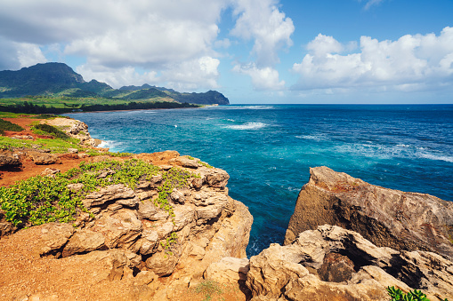 The world tallest sea cliffs of Molokai in a blue sky bright day light, Molokai, Hawaii.