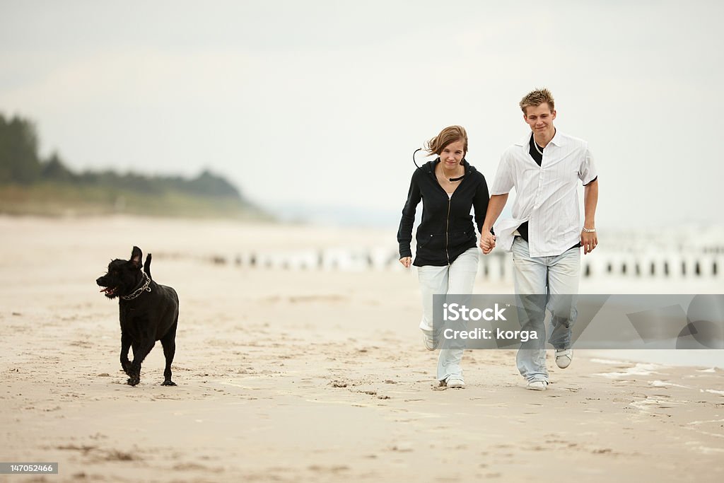 two young poeple runnig  beach holding tight dog two young poeple runnig on the beach holding tight with dog Adult Stock Photo