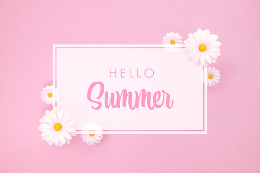 Hello Summer message and white daisies on pink background. Horizontal composition with copy space. Hello Summer concept.