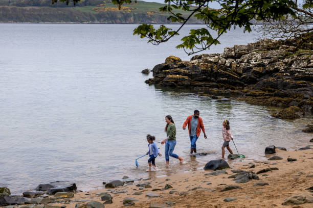 istock Using Fishing Nets in the Lake 1470528940
