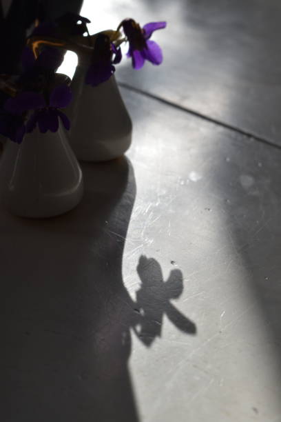 istock Springtime - two small vases with scenting violets and a perfect shadow-flower. 1470529993
