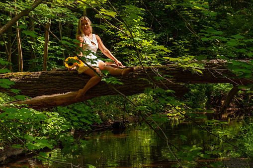 A beautiful young woman in a white dress holds sunflowers on a fallen tree over a creek during a sunny day in the forest