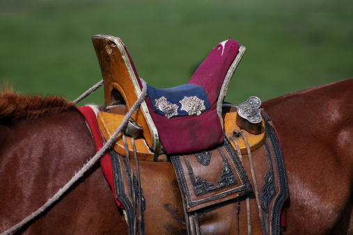 Nomad horse saddle in the Yol Valley Gobi Desert steppes Mongolia