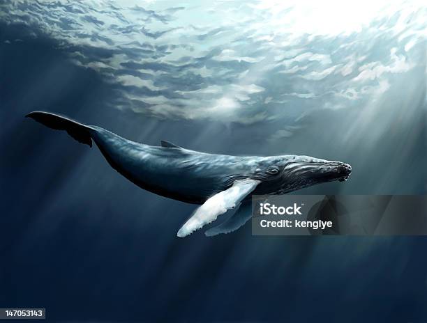 Photo libre de droit de Baleine À Bosse banque d'images et plus d'images libres de droit de Baleine - Baleine, Baleine à bosse, Illustration
