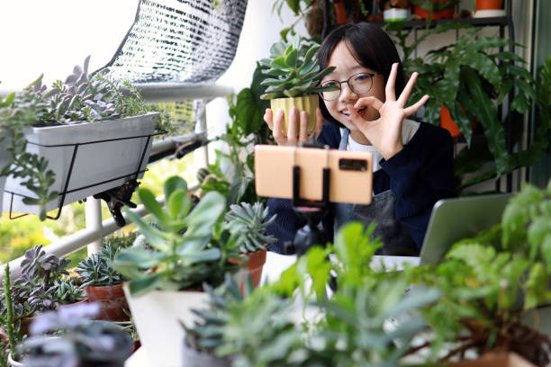 Vlogging and blogging with modern technology for teenager. Young Asian girl successfully closed a deal selling potted plant through live stream,  she in using laptop and smartphone doing online live stream business. stock photo