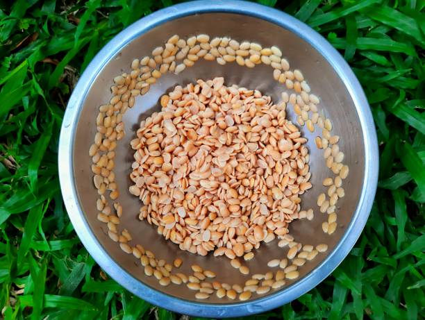 istock Salted Soya beans in bowl - food preparation. 1470531663