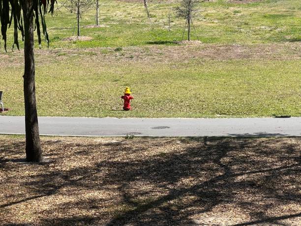 Colorful Fire Hydrant stock photo