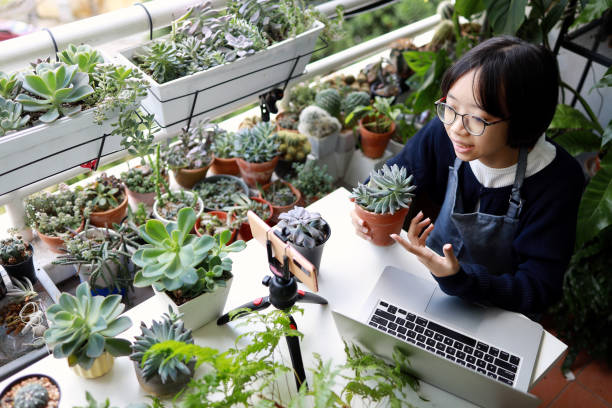 young asian girl, owner of small business plant nursery, starting online live stream selling potted plants, vlogging on smartphone and laptop. e-learning, online business concept - choicesea 個照片及圖片檔