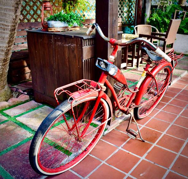 Man’s Cave Art  Featuring An Original 1957 Bicycle
