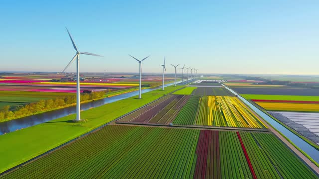 Wind power and tulips field in Holland
