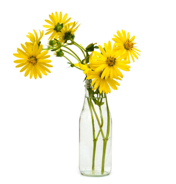 istock Bouquet of yellow chrysanthemum 1470536071