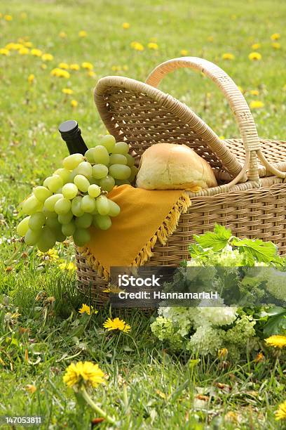 Picnic Stock Photo - Download Image Now - Wildflower, Wine, Agricultural Field