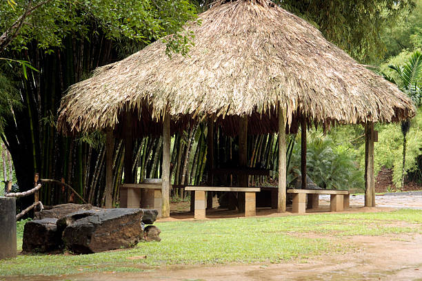 istock Tatched roof shelter 147053892