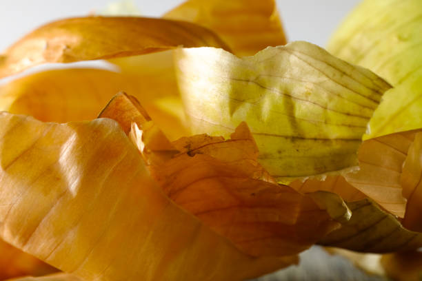 There were only pieces of peel left on the heap after peeling the onion
