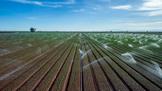 Crops Being Watered in South Eastern California During Drought Conditions