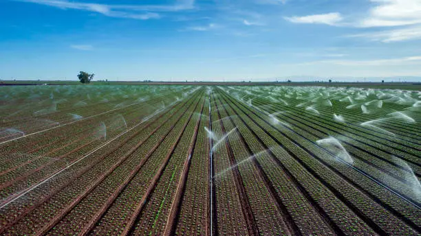 Photo of Crops Being Watered in South Eastern California During Drought Conditions