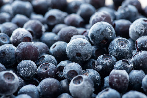 20,600+ Frozen Blueberry Stock Photos, Pictures & Royalty-Free Images ...