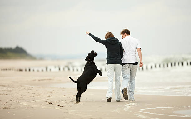 istock two young poeple runnig beach holding tight dog 147054145