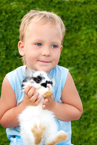 istock The nice child holding on hands of a small rabbit 147054216