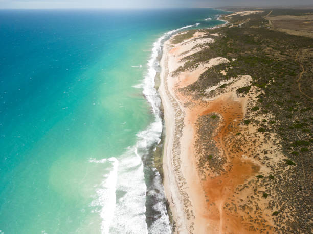 istock Western Australia Park 1470542960