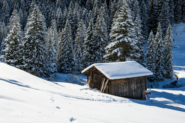 Winter landscape with an old hut and a snowcapped forest