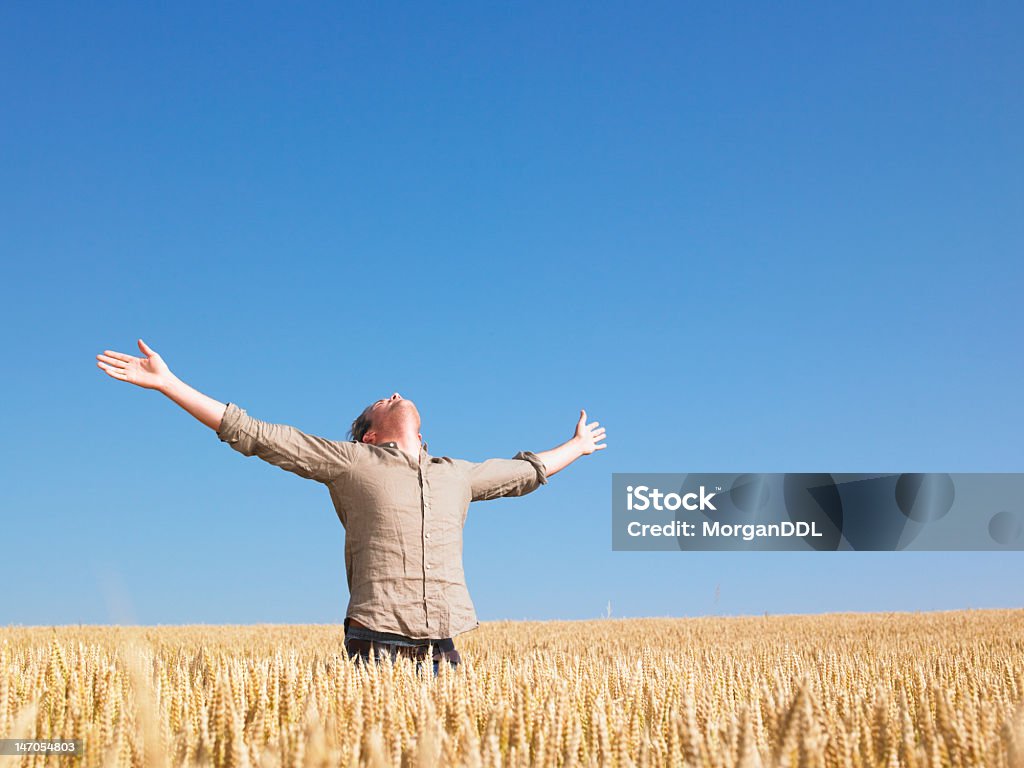 Mann in Wheat Field mit Ausgestreckte Arme - Lizenzfrei Bauernberuf Stock-Foto