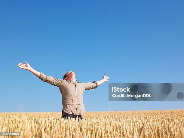 Mann In Wheat Field Mit Ausgestreckte Arme Stockfoto und mehr Bilder von Bauernberuf - Bauernberuf, Aufregung, Verzückt