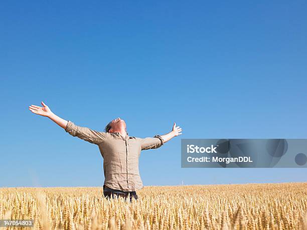 Man In 小麦のフィールドに腕を広げる - 農業従事者のストックフォトや画像を多数ご用意 - 農業従事者, 有頂天, 興奮