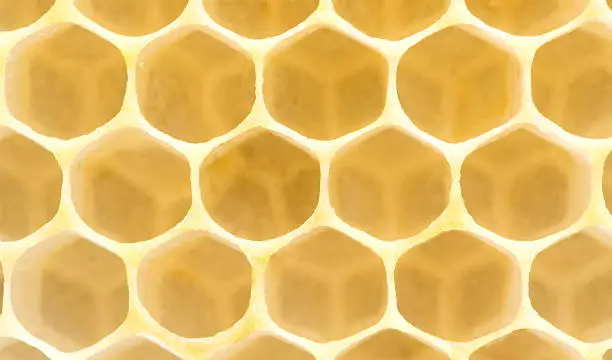 Honeycomb. Yellow clear hexagon background. Extremely close-up