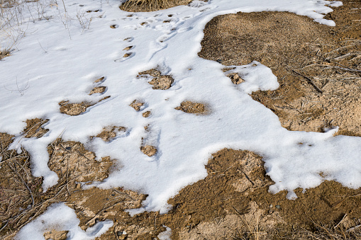 An abstract close-up photograph of a patch of snow on rock