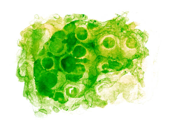 istock watercolor graphical material for illustration purposes 1470552119