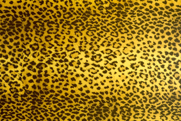 Leopard background with black spots, with a yellow tint, close-up.