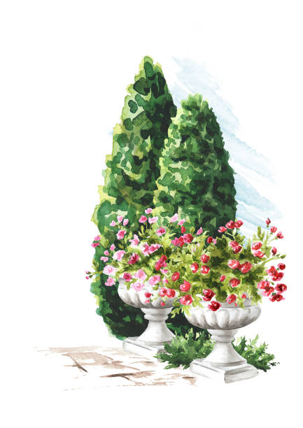 istock Garden decorative architectural element, stone marble vase, pot,  Landscape design, Hand drawn watercolor  illustration  isolated on white background 1470554929