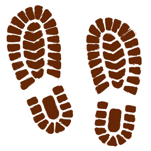 4,100+ Boot Camp Stock Illustrations, Royalty-Free Vector Graphics
