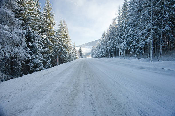 istock Road in the Winter 147055740