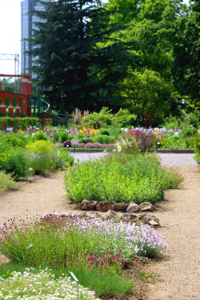 istock Botanical Garden, Zagreb 1470559939