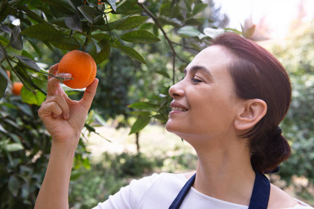 istock Orange Harvest 1470562363