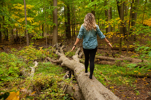 A beautiful woman walks on a fallen tree barefoot in the forest