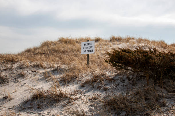 istock Keep off the dunes sign on a sand dune with grass and bushes 1470562870