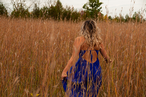 A beautiful woman in a blue dress walks away through a straw field